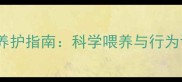 拉布拉多全生命周期养护指南科学喂养与行为训练的12项核心要点
