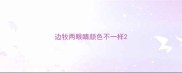 边牧两眼睛颜色不一样