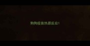 狗狗疫苗热源反应