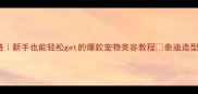 泰迪熊造型全攻略新手也能轻松get的爆款宠物美容教程泰迪造型攻略宠物日常推荐