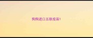 狗狗进口五联疫苗