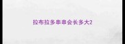 拉布拉多串串会长多大