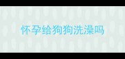 怀孕给狗狗洗澡吗