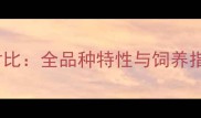 边境牧羊犬纯种vs混血对比全品种特性与饲养指南附推荐选购建议