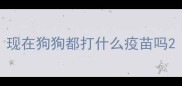 现在狗狗都打什么疫苗吗