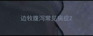 边牧腹泻常见病症