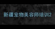 新疆宠物美容师培训