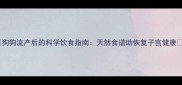 狗狗流产后的科学饮食指南天然食谱助恢复子宫健康