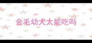 金毛幼犬太能吃吗