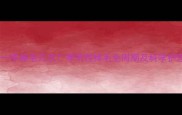 哈士奇一年掉毛几次季节性掉毛全周期及科学护理指南