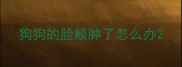 狗狗的脸颊肿了怎么办