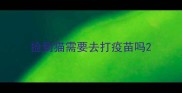 捡到猫需要去打疫苗吗
