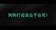 狗狗打疫苗会不会死