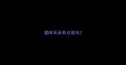 猫咪耳朵有点脱毛