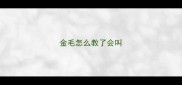 金毛怎么教了会叫