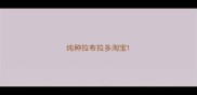 纯种拉布拉多淘宝