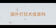 国外打狂犬疫苗吗