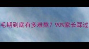 哈士奇九个月换毛期到底有多难熬90家长踩过的坑都在这里