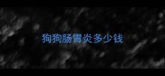 狗狗肠胃炎多少钱