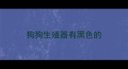 狗狗生殖器有黑色的