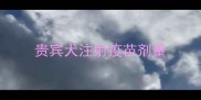 贵宾犬注射疫苗剂量