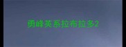 勇峰英系拉布拉多