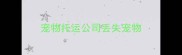 宠物托运公司丢失宠物
