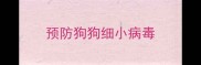 预防狗狗细小病毒