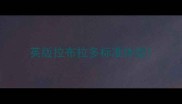 英版拉布拉多标准体型