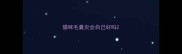 猫咪毛囊炎会自己好吗