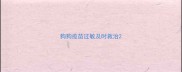 狗狗疫苗过敏及时救治