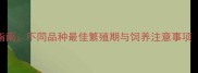 宠物狗科学交配年龄指南不同品种最佳繁殖期与饲养注意事项附疫苗接种时间表