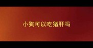 小狗可以吃猪肝吗