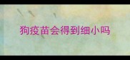 狗疫苗会得到细小吗