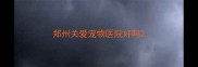 郑州关爱宠物医院好吗