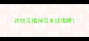 边牧没精神没食欲嗜睡