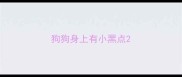 狗狗身上有小黑点