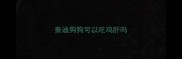 泰迪狗狗可以吃鸡肝吗