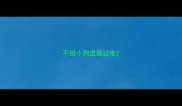 不给小狗进屋过夜
