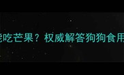 泰迪犬能不能吃芒果权威解答狗狗食用芒果全指南