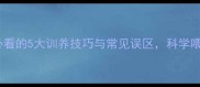 哈士奇养宠指南新手必看的5大训养技巧与常见误区科学喂养让爱犬健康快乐成长
