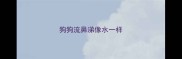 狗狗流鼻涕像水一样