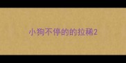 小狗不停的的拉稀
