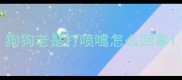 狗狗老是打喷嚏怎么回事