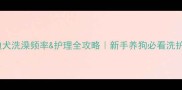 泰迪犬洗澡频率护理全攻略新手养狗必看洗护指南