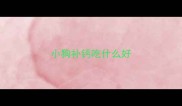 小狗补钙吃什么好