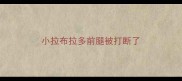 小拉布拉多前腿被打断了