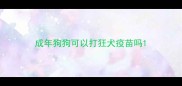 成年狗狗可以打狂犬疫苗吗