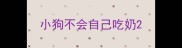 小狗不会自己吃奶