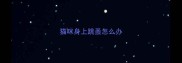 猫咪身上跳蚤怎么办